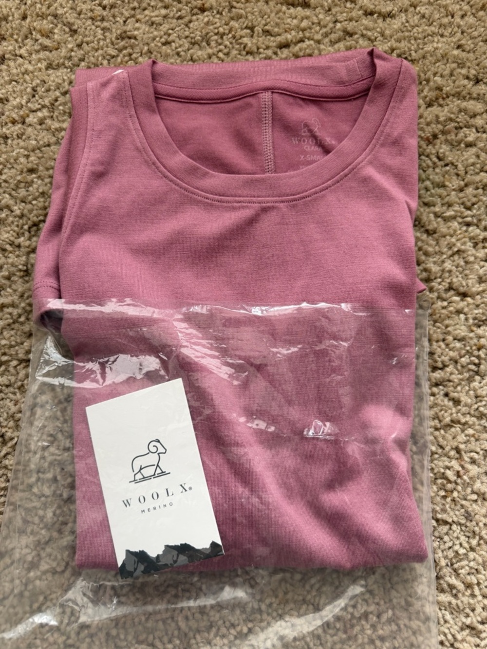 Woolx Clara Sleeveless Dress in Mesa Rose